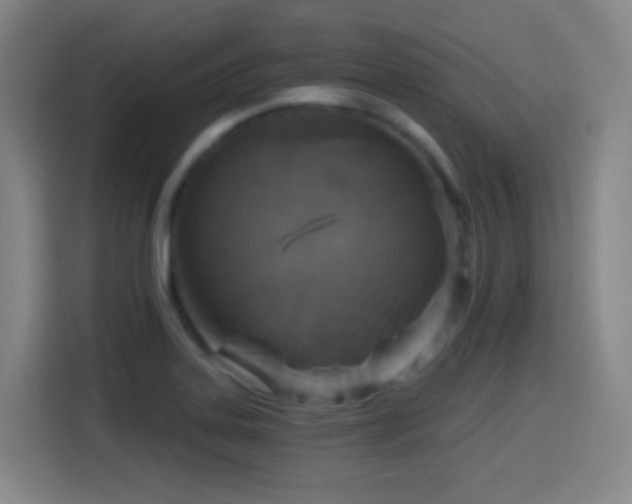 X0000114441323200910161347