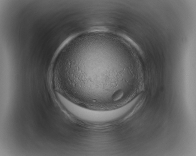 X0000114441325200910161347
