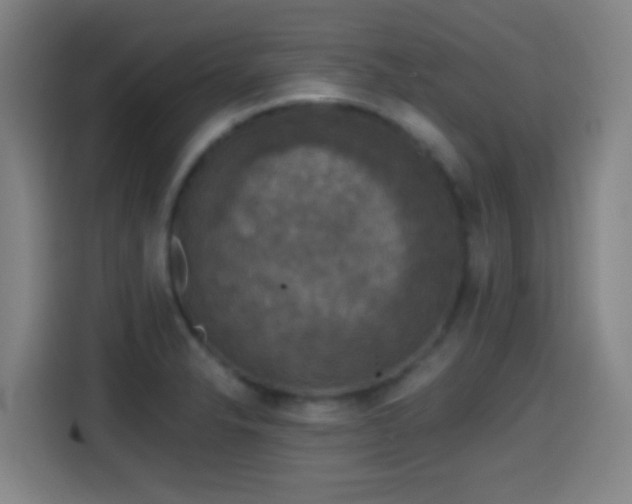 X0000114441326200910161347