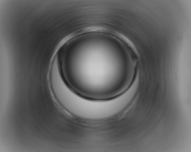 X0000114441330200910161347