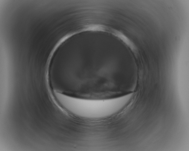 X0000114441331200910161347
