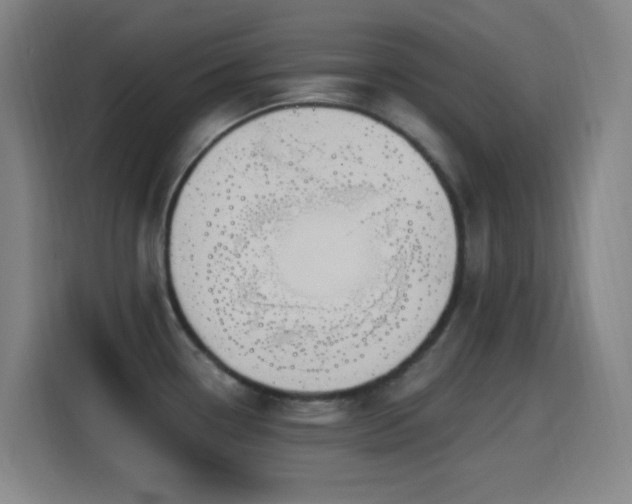 X0000114441338200910161347