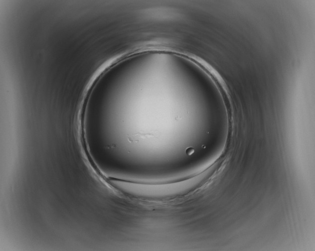X0000114441341200910161347