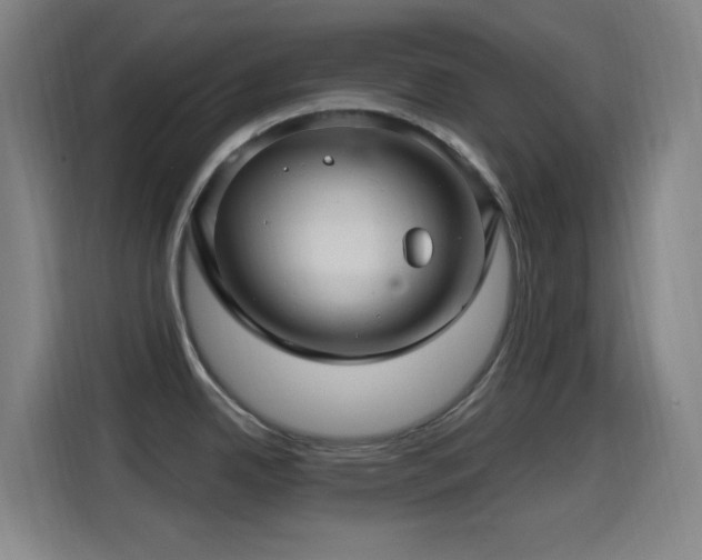 X0000114441342200910161347