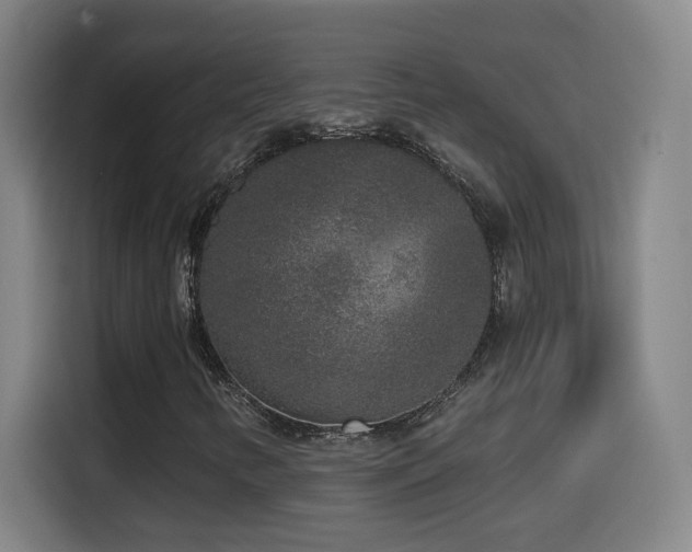 X0000114441346200910161347