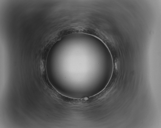 X0000114441347200910161347
