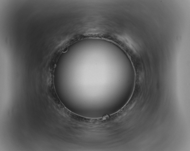 X0000114441350200910161347