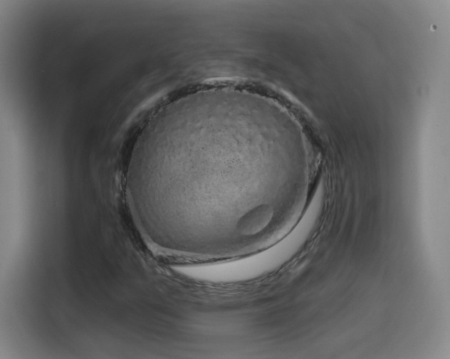 X0000114441351200910161347