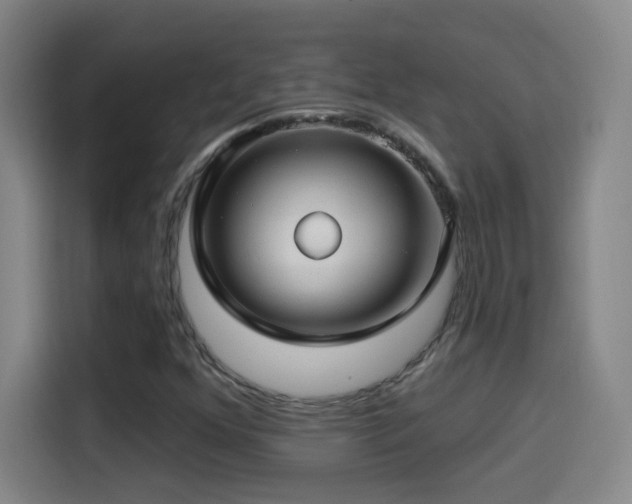 X0000114441352200910161347