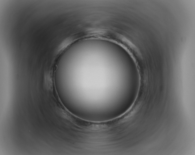 X0000114441354200910161347