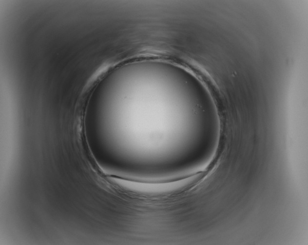 X0000114441355200910161347