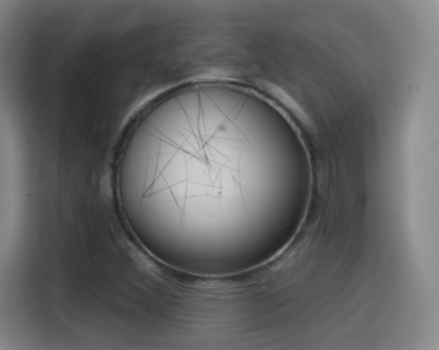 X0000114441356200910161347