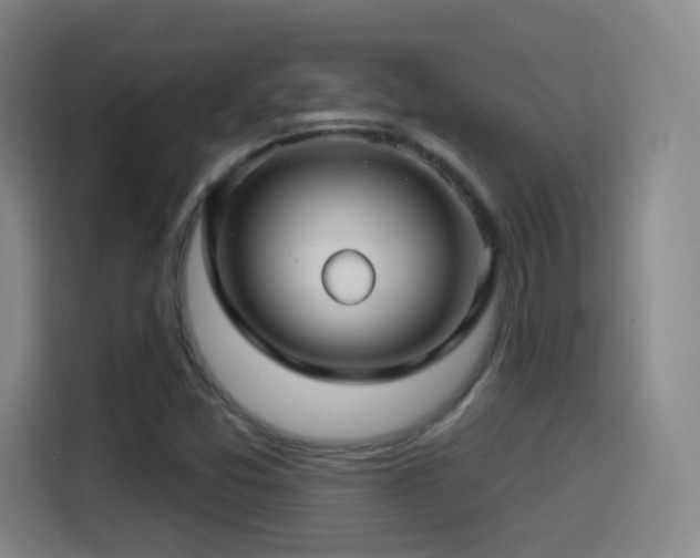 X0000114441357200910161347