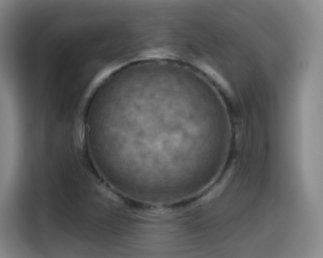 X0000114441358200910161347