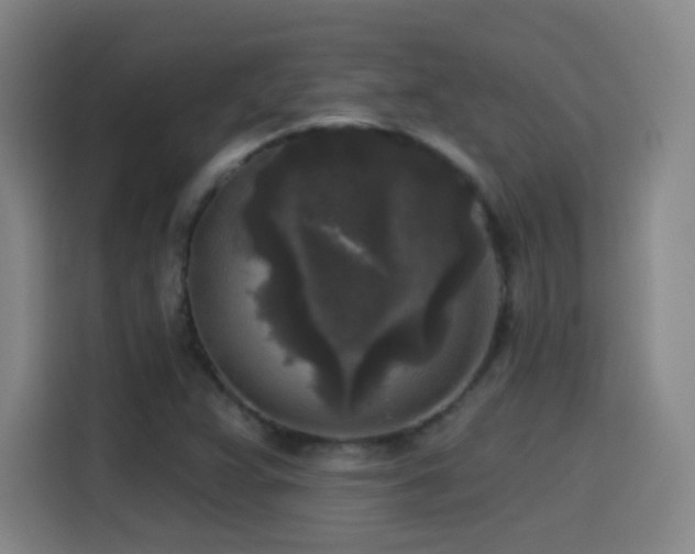 X0000114441359200910161347