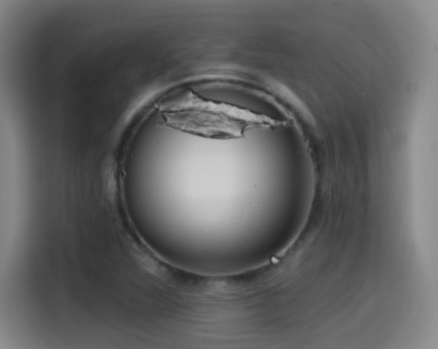 X0000114441360200910161347