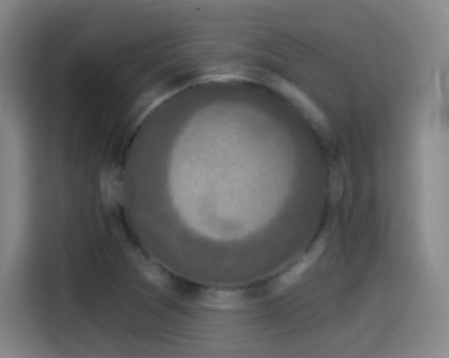 X0000114441361200910161347