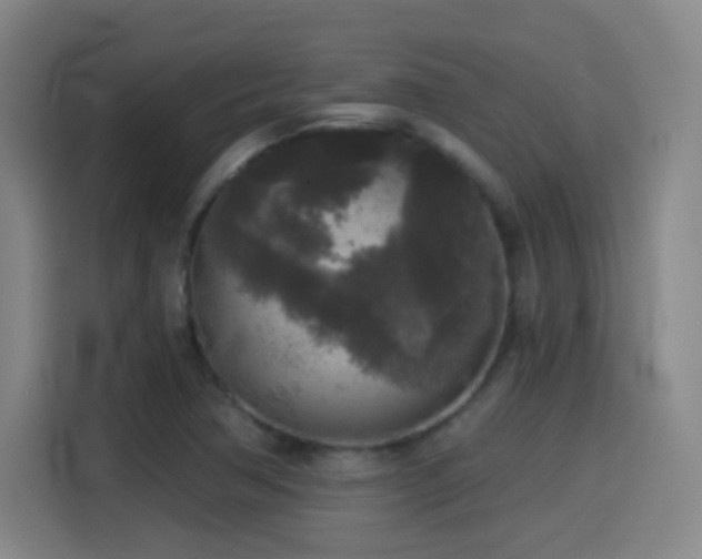 X0000114441362200910161347