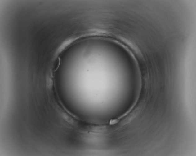 X0000114441363200910161347