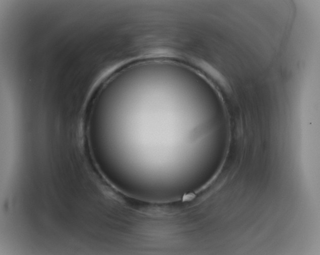 X0000114441364200910161347
