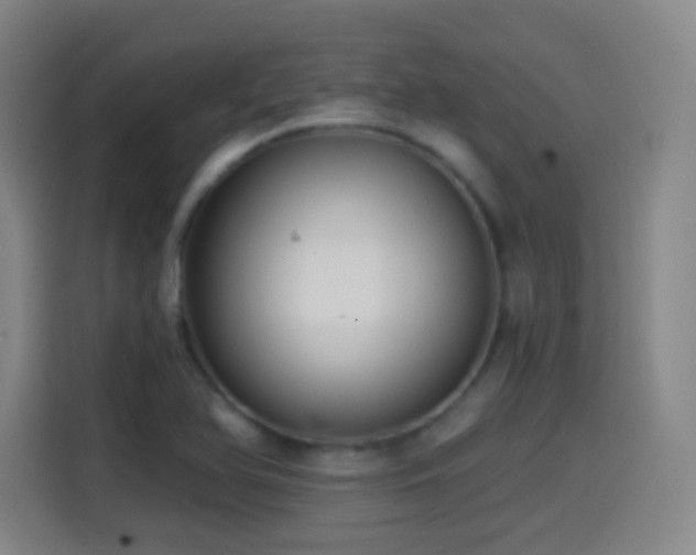 X0000114441366200910161347