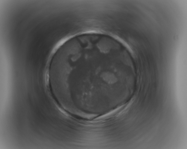 X0000114441367200910161347