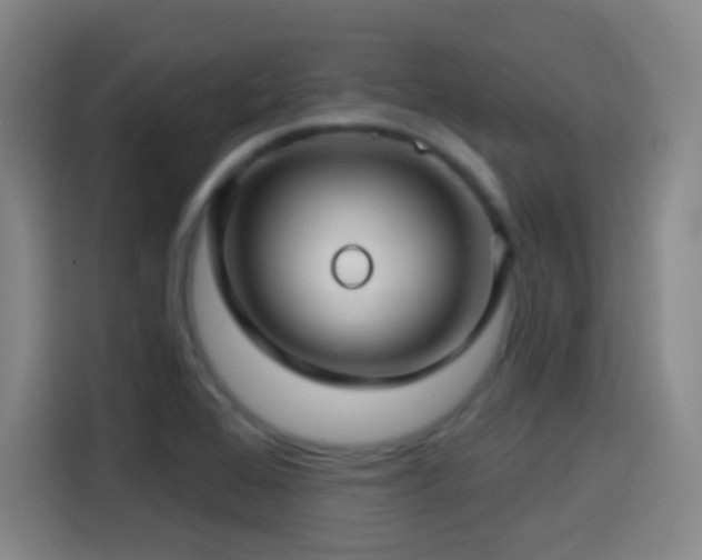 X0000114441368200910161347
