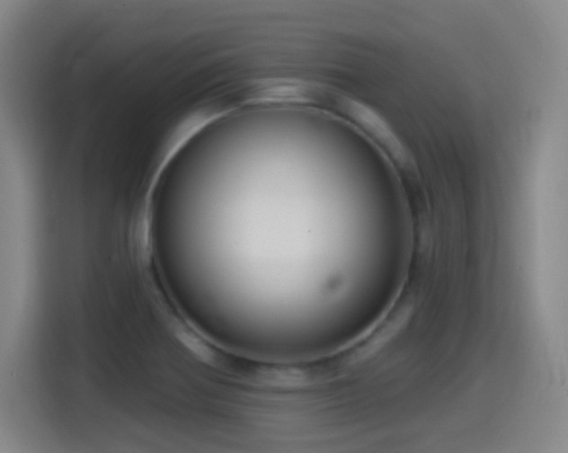 X0000114441370200910161347