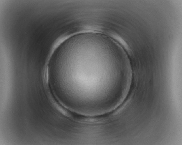 X0000114441371200910161347