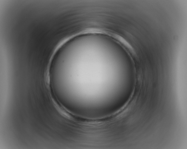 X0000114441372200910161347