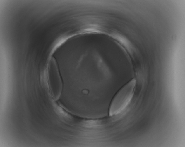 X0000114441373200910161346