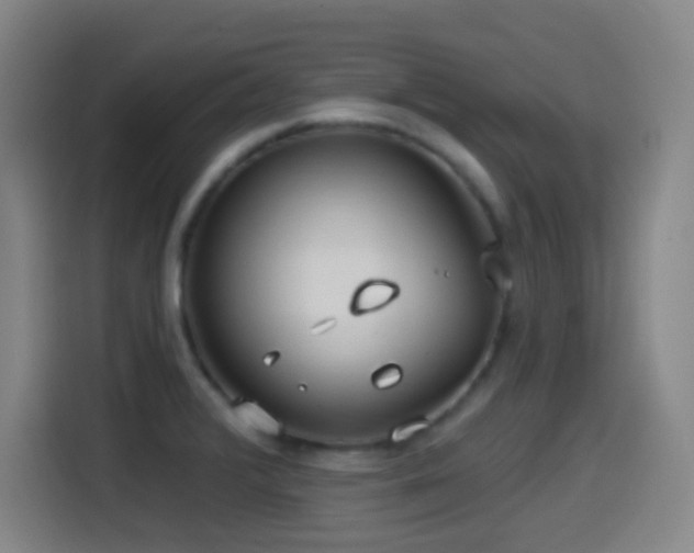 X0000114441376200910161346