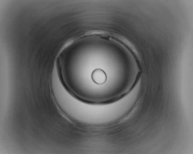 X0000114441377200910161346