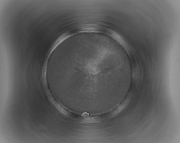 X0000114441378200910161346