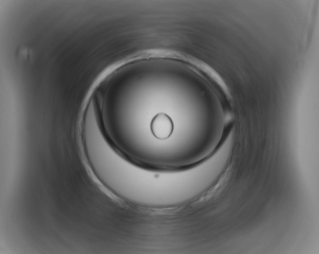 X0000114441381200910161346