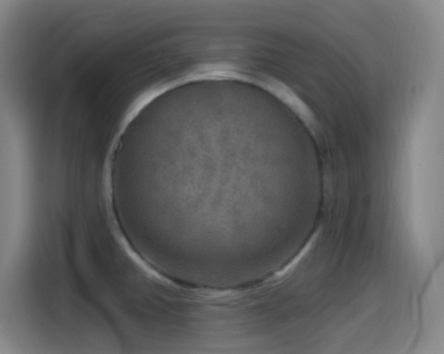 X0000114441382200910161346
