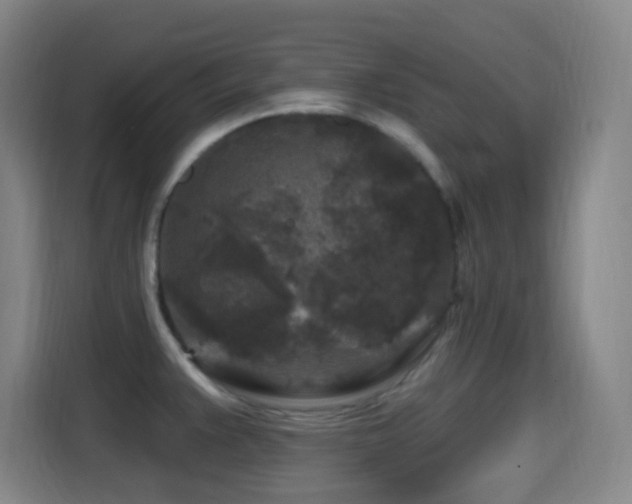 X0000114441383200910161346