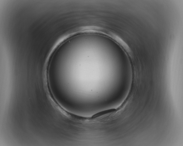 X0000114441384200910161346