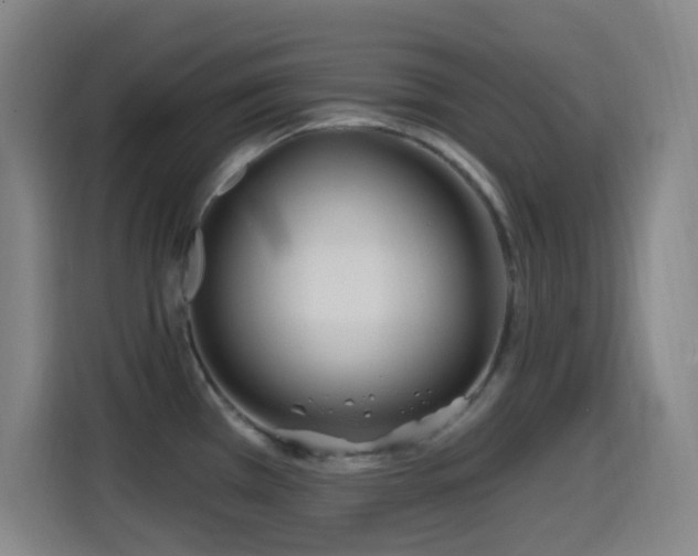 X0000114441385200910161346
