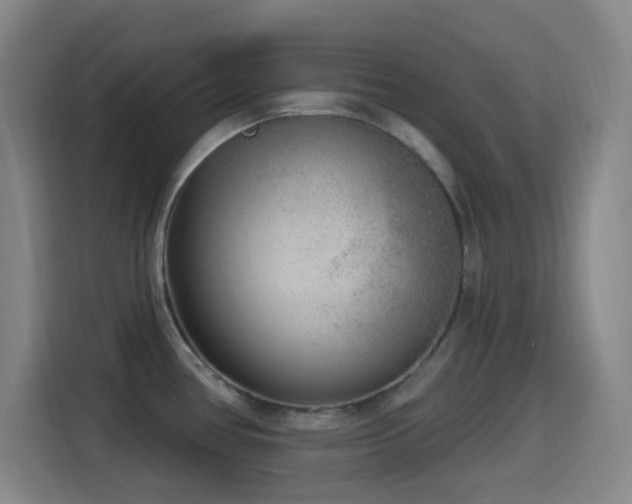 X0000114441386200910161346