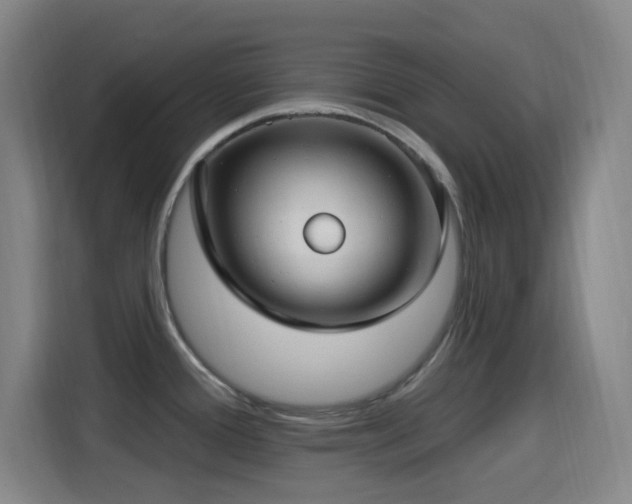 X0000114441388200910161346