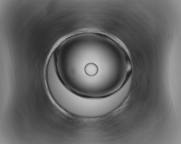 X0000114441389200910161346