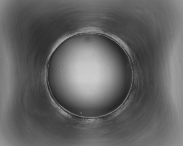 X0000114441390200910161346