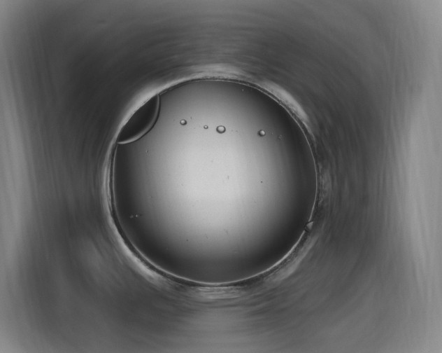 X0000114441391200910161346