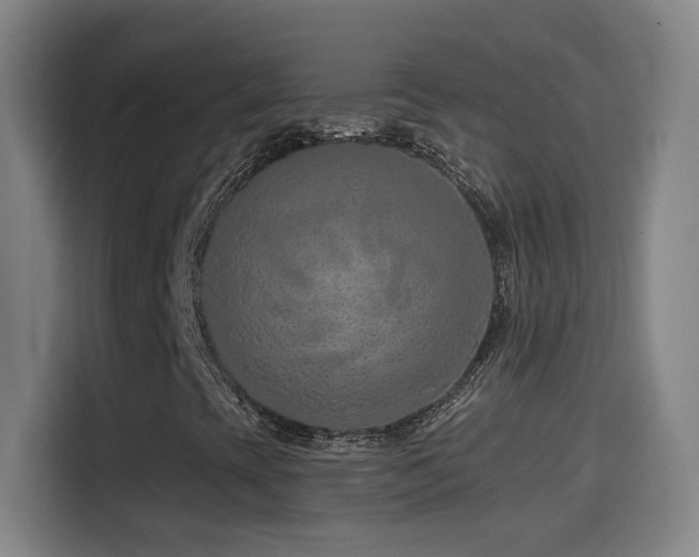 X0000114441393200910161346
