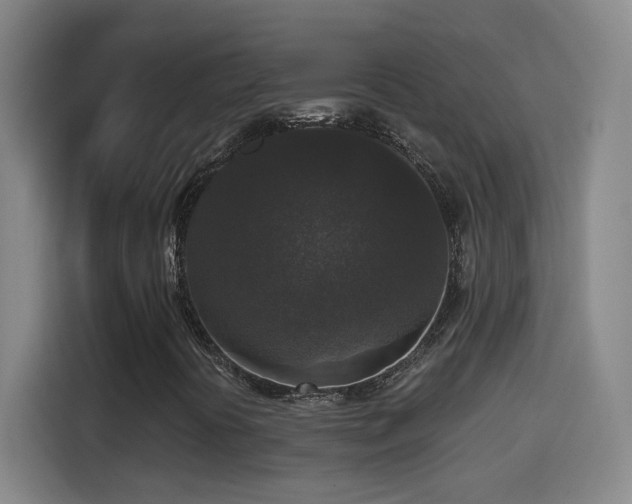 X0000114441394200910161346