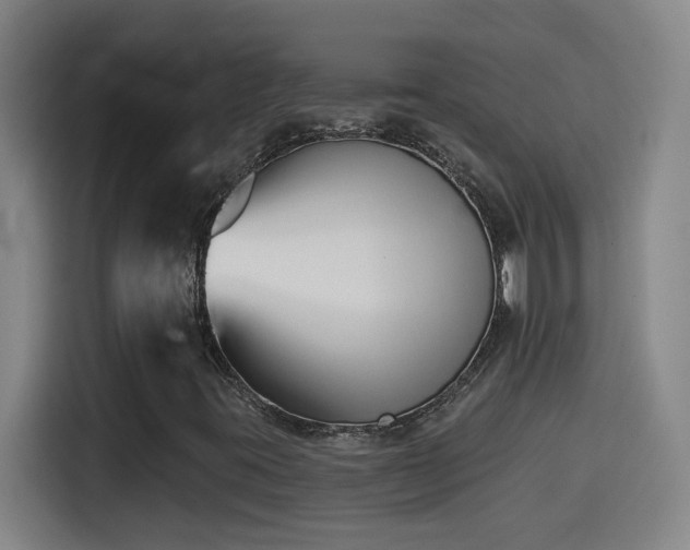 X0000114441395200910161346