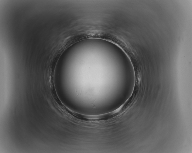 X0000114441396200910161346