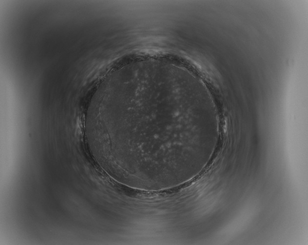 X0000114441397200910161346