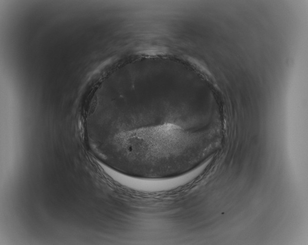 X0000114441398200910161346